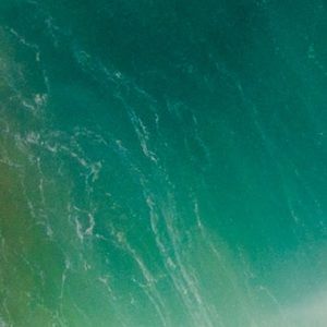 Meet your Posher, Haifa